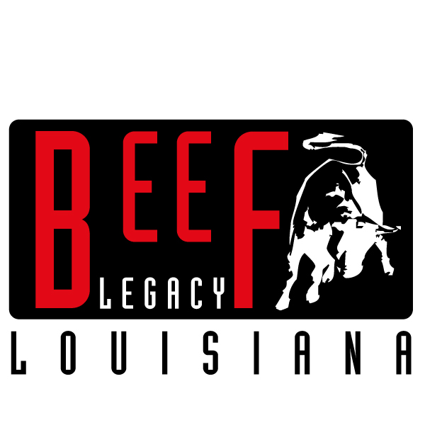 Diseño de Logo por mmalon para este proyecto | Diseño #2986092