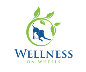 Logo Design by nicetool 2