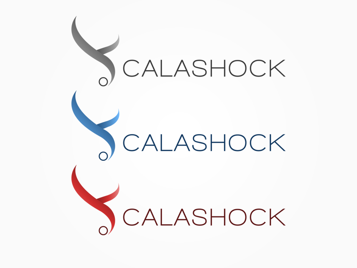 Logo-Design von MFERN für Calashock Digital | Design #3136707
