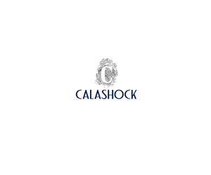 Logo Design by Artredeco for Calashock Digital | Design: #3083347
