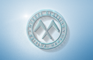 Diseño de Logo por GLDesigns para este proyecto | Diseño #22438245