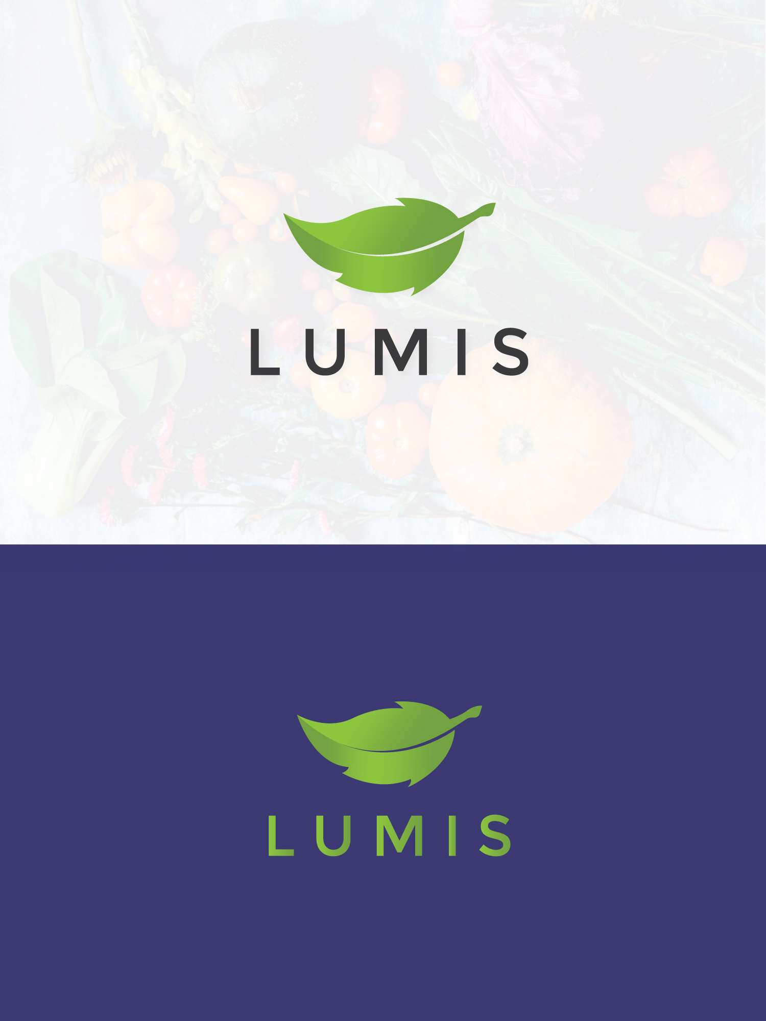 Logo-Design von MIAN MUHAMMAD 2 für dieses Projekt | Design #22470199