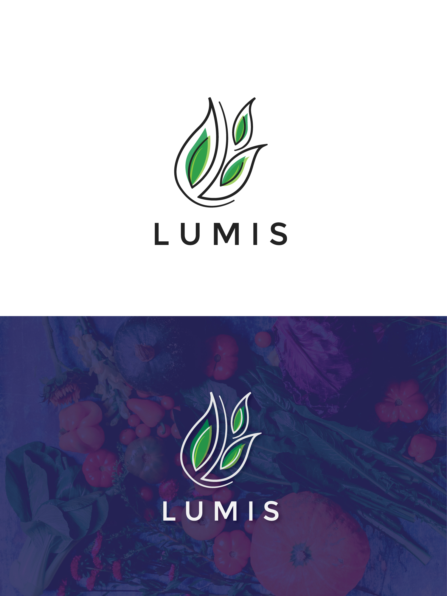 Logo Design by MIAN MUHAMMAD 2 for this project | Design #22470200