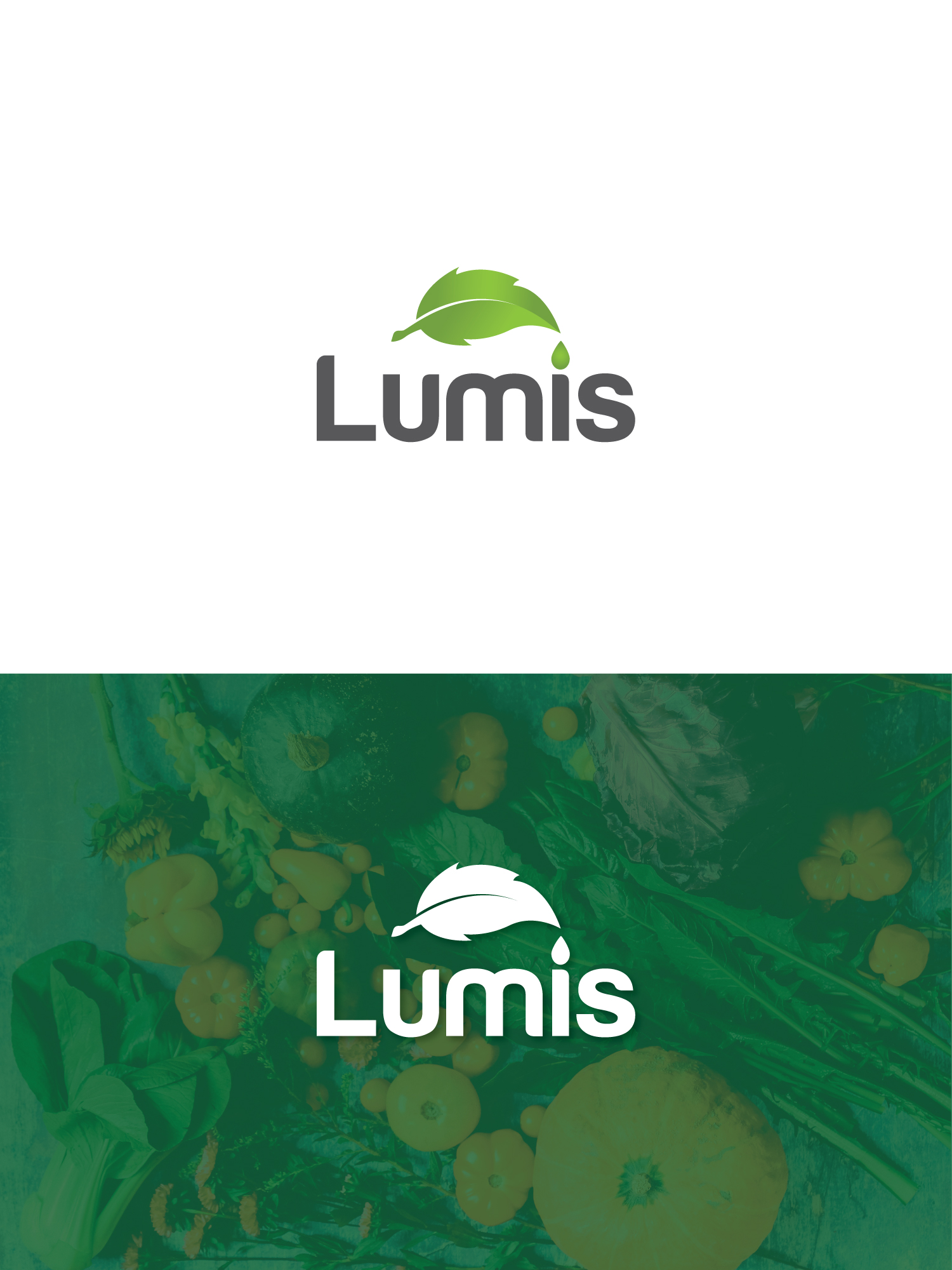 Logo Design by MIAN MUHAMMAD 2 for this project | Design #22470201