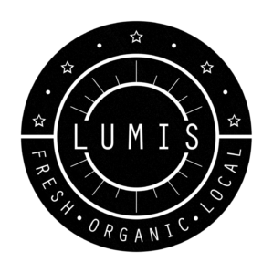 Logo Design by aesthete motif