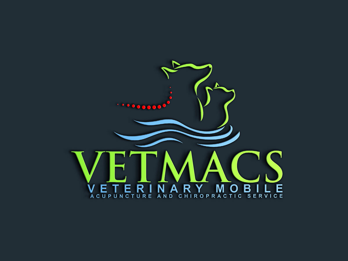 Logo Design by SoftTouch Design for this project | Design: #22452896