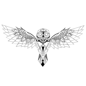 Tattoo Project:- Modern Owl For Man's Forearm | Design de Tatouage par missd.tattoos