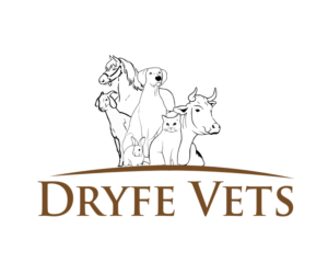 Diseño de Logo por ERICK ANDRE VOORNEMAN para Dryfe Vets | Diseño #22539434