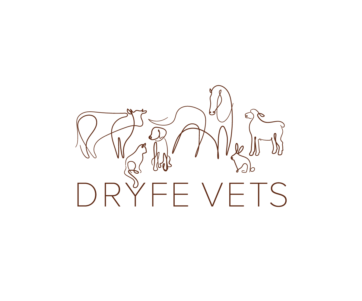 Logo Design by Wild Geek for Dryfe Vets | Design #22461096