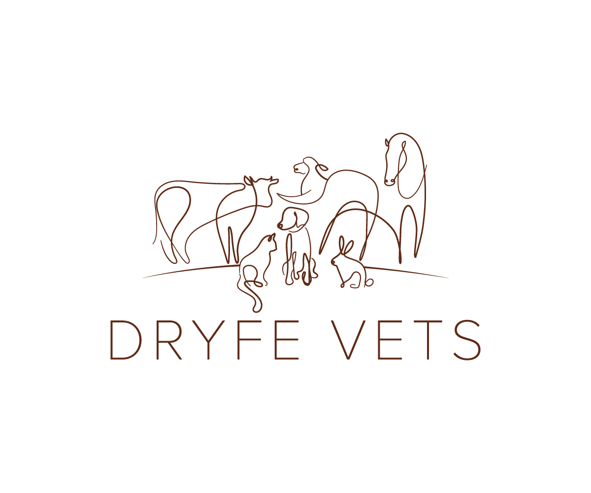 Logo Design by Wild Geek for Dryfe Vets | Design #22461097