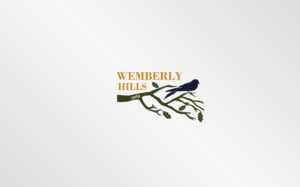 Logo Design by MT