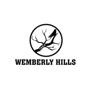 Logo Design by ESolz Technologies