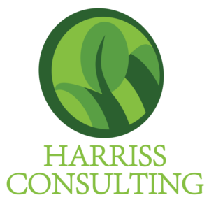 Logo Design by Rameshs06