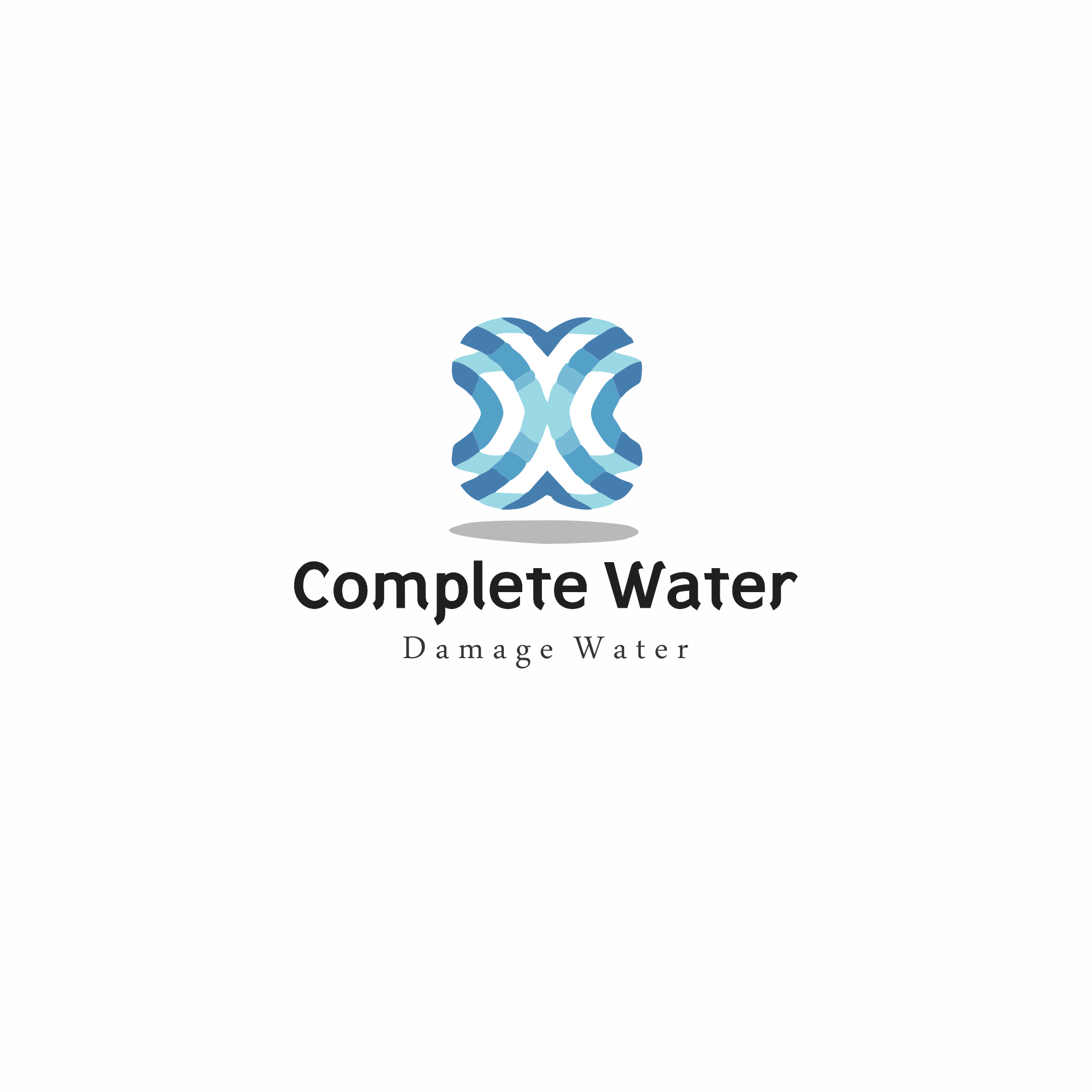 Logo Design by mazi.rehman for this project | Design #22488772