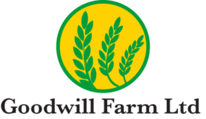 Logo Design by Lefky