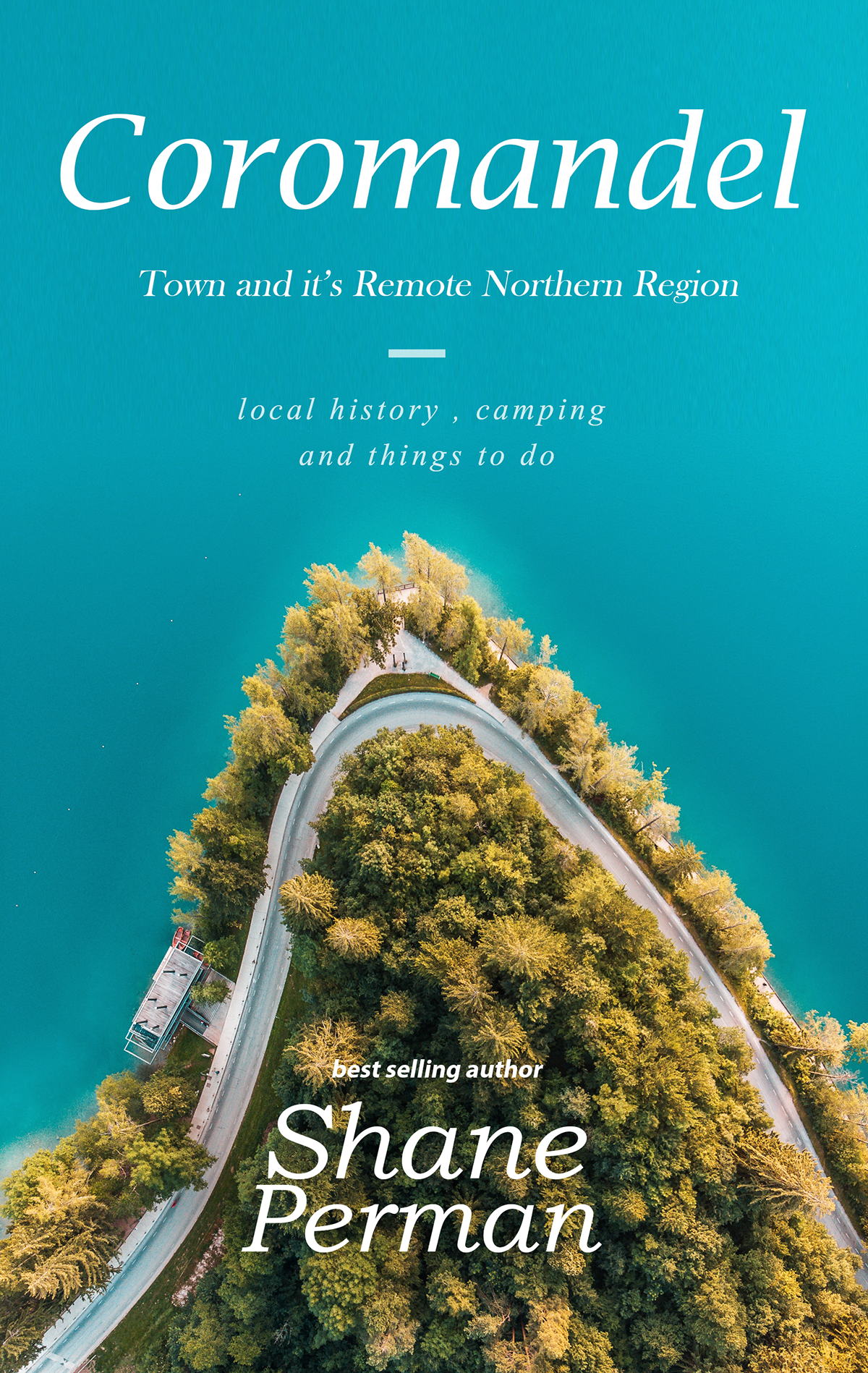 Book Cover Design by gladnel7 for Awesome Media Limited | Design #22471015