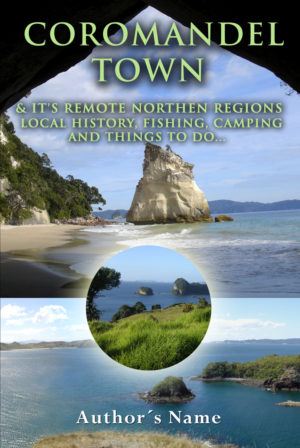 A Small Coastal town of New Zealand book! | Design de Couverture de Livre par Wally_F