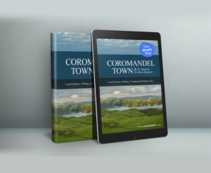 Book Cover Design by manshuri.yusuf for Awesome Media Limited | Design: #22470204