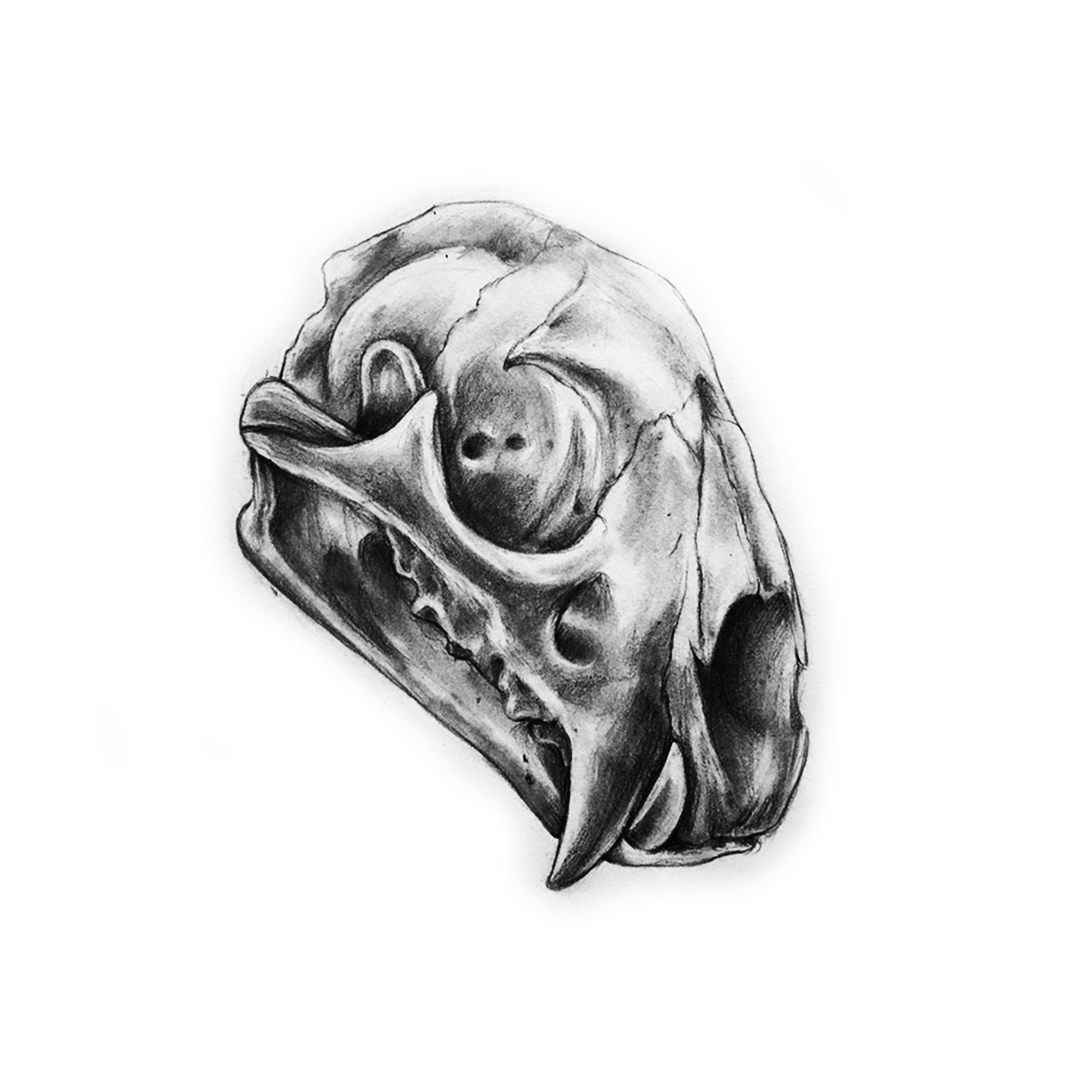 Tattoo-Design von missd.tattoos für dieses Projekt | Design #22490738