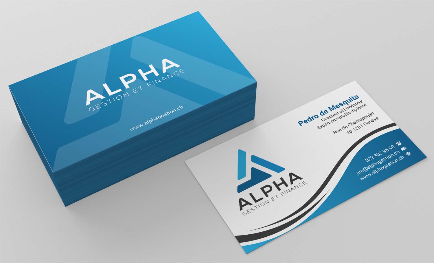 Business Card Design by INDIAN_Ashok for this project | Design #22468224