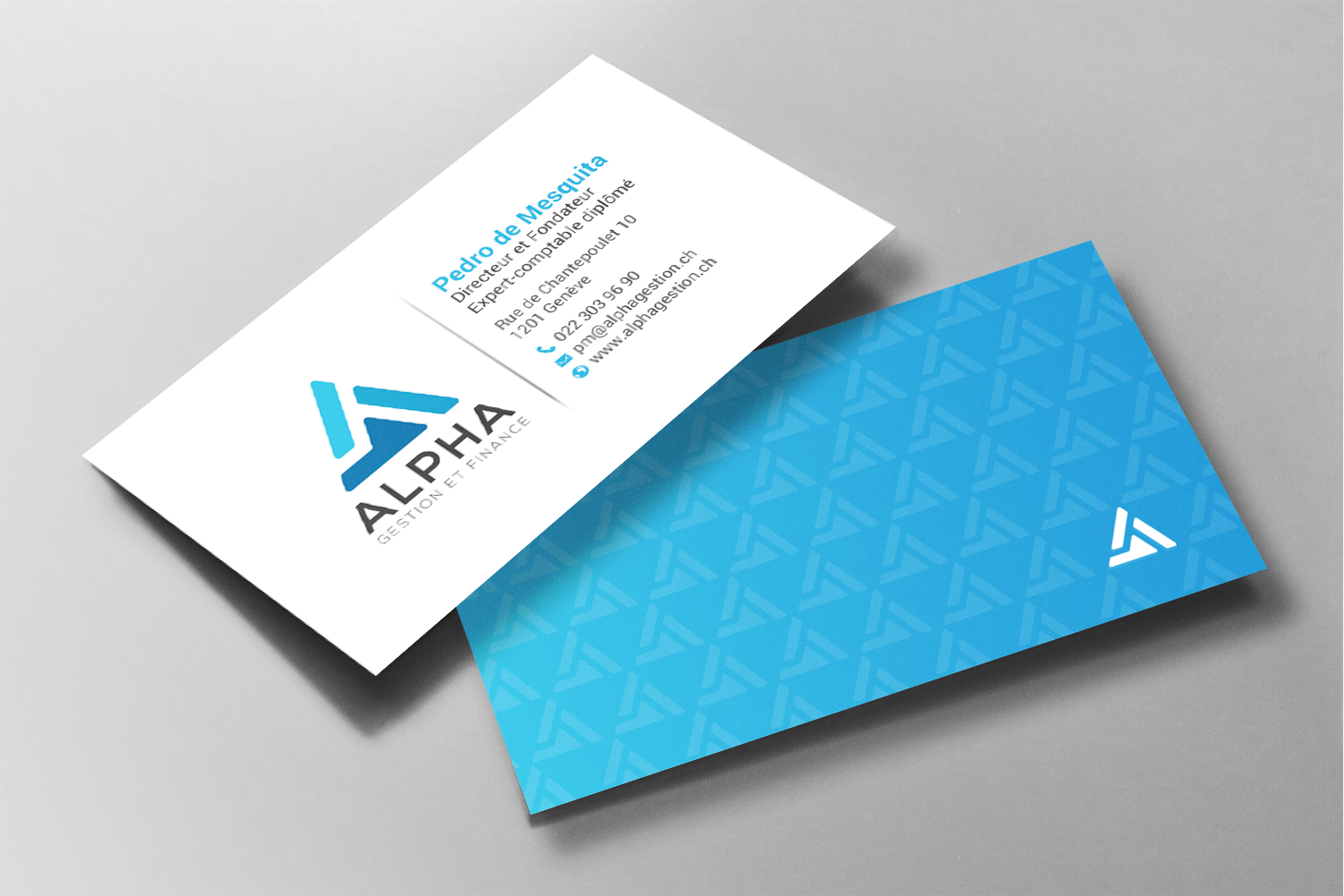 Business Card Design by chandrayaan.creative for this project | Design #22475082