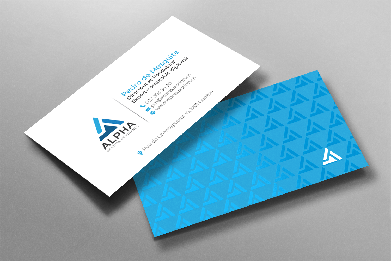 Business Card Design by chandrayaan.creative for this project | Design #22475084