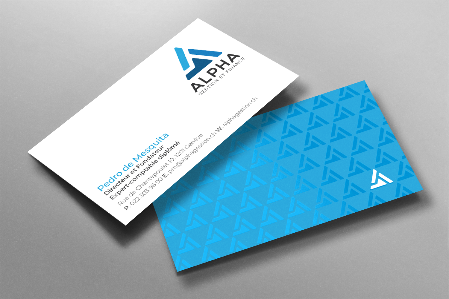 Business Card Design by chandrayaan.creative for this project | Design #22475091
