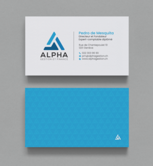Business Card Design by chandrayaan.creative for this project | Design: #22476487