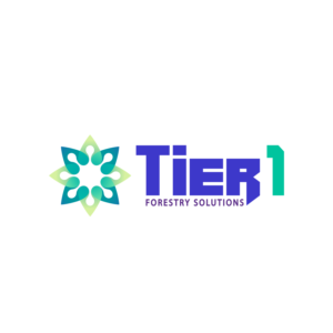 Logo Design by art.edison