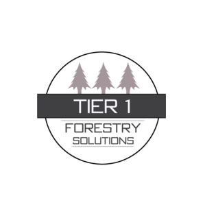 Logo Design by Mitzek