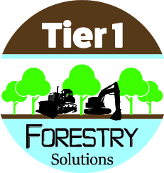 Logo-Design von NAHA2014 für Holly Jenkins- Team Beach Body | Design #22477639