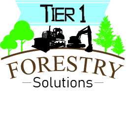 Logo Design by NAHA2014 for Holly Jenkins- Team Beach Body | Design #22478031