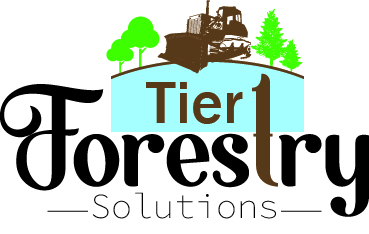 Logo Design by NAHA2014 for Holly Jenkins- Team Beach Body | Design #22478043