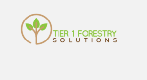Logo Design by Saqlain_Umer