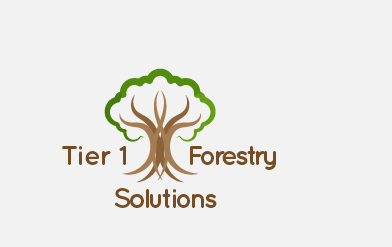 Logo Design by Saqlain_Umer for Holly Jenkins- Team Beach Body | Design #22473850