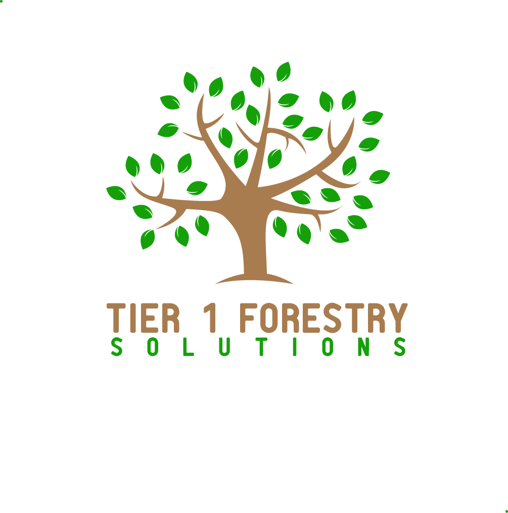 Logo Design by Saqlain_Umer for Holly Jenkins- Team Beach Body | Design #22473851