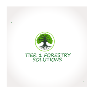 Logo Design by Saqlain_Umer for Holly Jenkins- Team Beach Body | Design: #22474240
