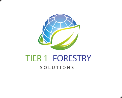 Logo Design by Saqlain_Umer for Holly Jenkins- Team Beach Body | Design #22474318