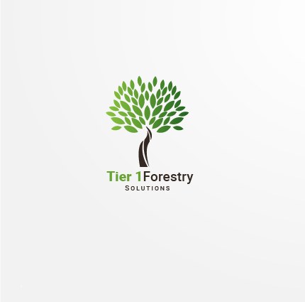 Logo Design by Saqlain_Umer for Holly Jenkins- Team Beach Body | Design #22474319