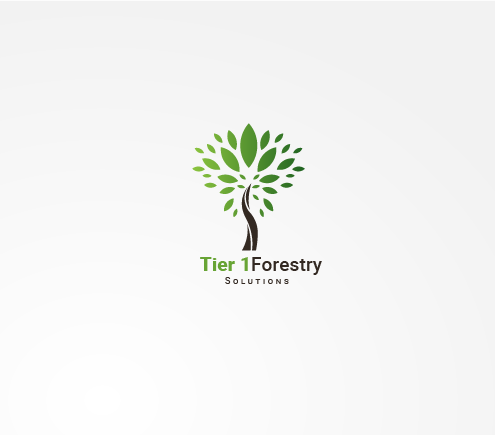 Logo Design by Saqlain_Umer for Holly Jenkins- Team Beach Body | Design #22474399