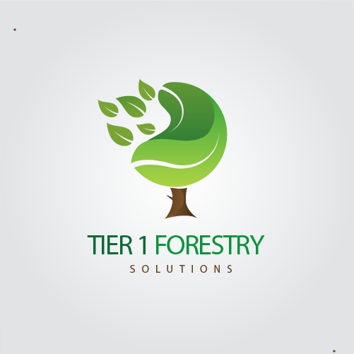 Logo Design by Saqlain_Umer for Holly Jenkins- Team Beach Body | Design #22474400