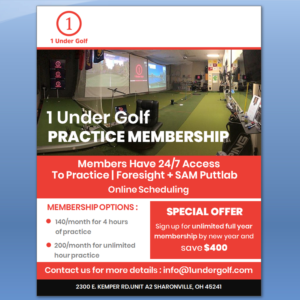 Indoor golf coaching facility needs a flyer advertising the indoor practice program | Diseño de Flyer por TSU Creations