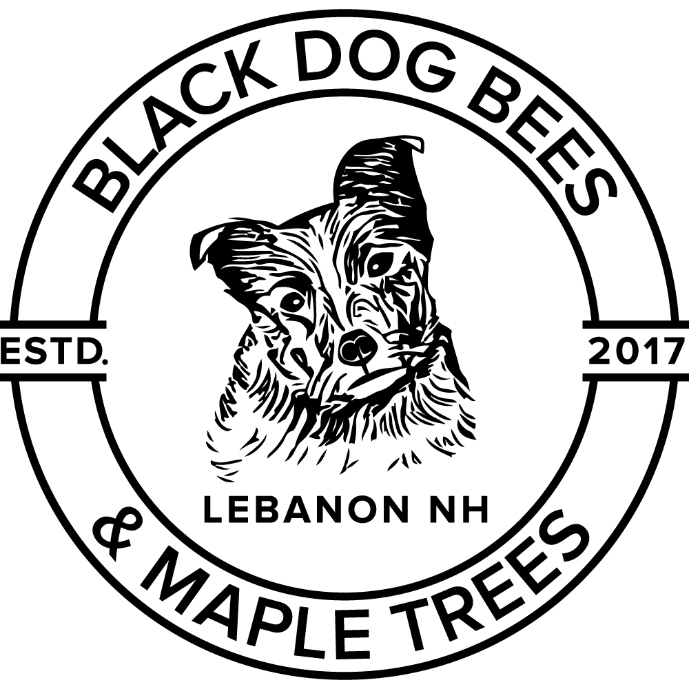 Diseño de Logo por Wild Geek para este proyecto | Diseño #22602388