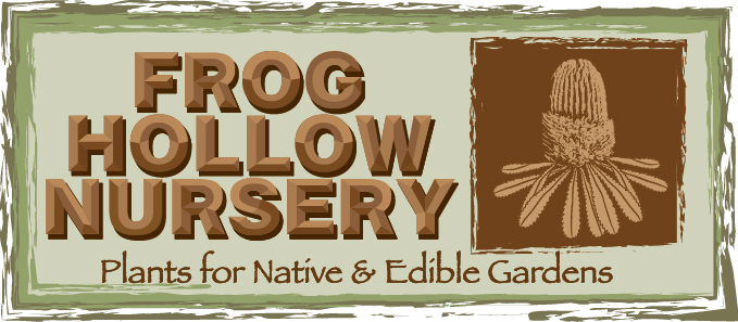 Logo Design by Frank Brittner Graphics for Frog Hollow Nursery | Design #2987182