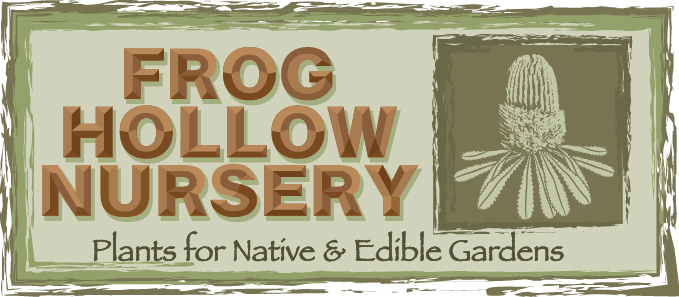 Logo-Design von Frank Brittner Graphics für Frog Hollow Nursery | Design #2987188
