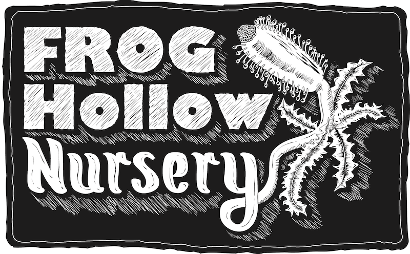 Design de Logo par Seth A pour Frog Hollow Nursery | Design #2993213