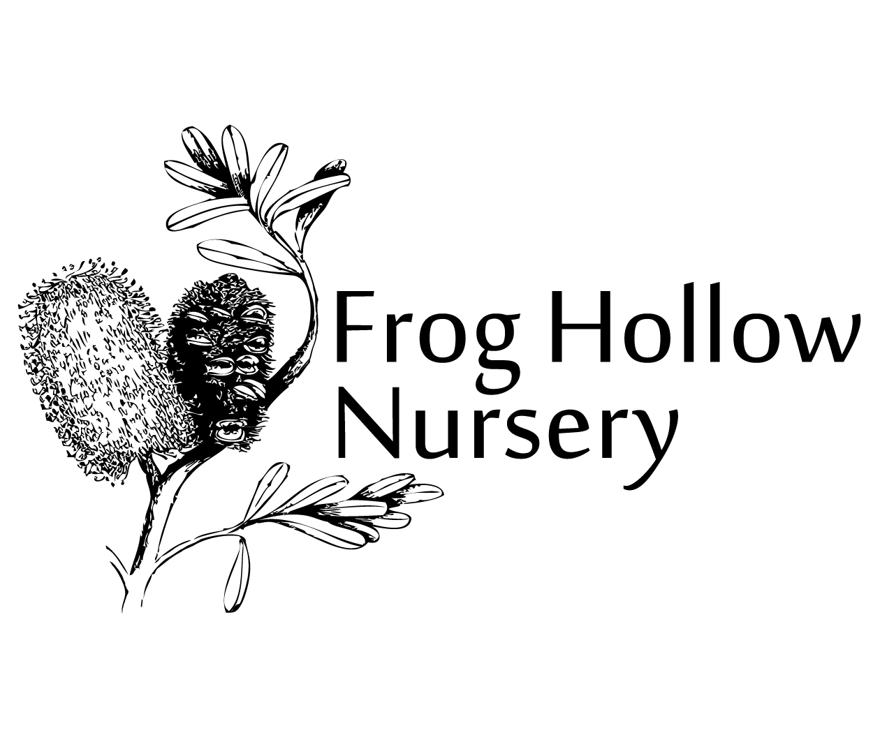 Logo Design by Molly Creative for Frog Hollow Nursery | Design #3003407