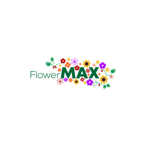 Logo Design by Arrow Designs