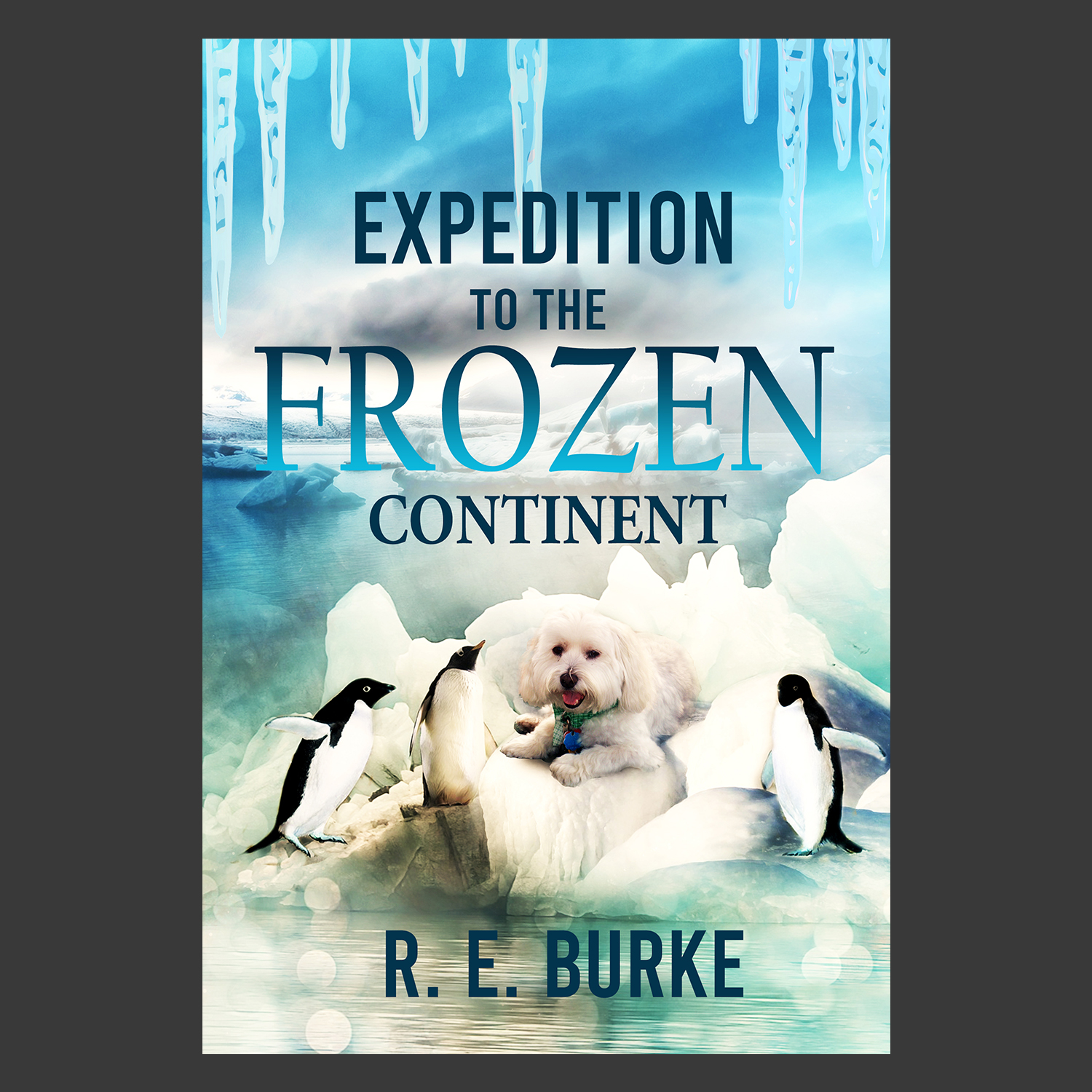 Book Cover Design by Ann_RS - Anelia for this project | Design #22503490