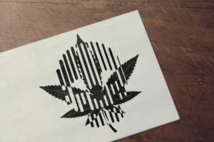 Logo Design by Chana